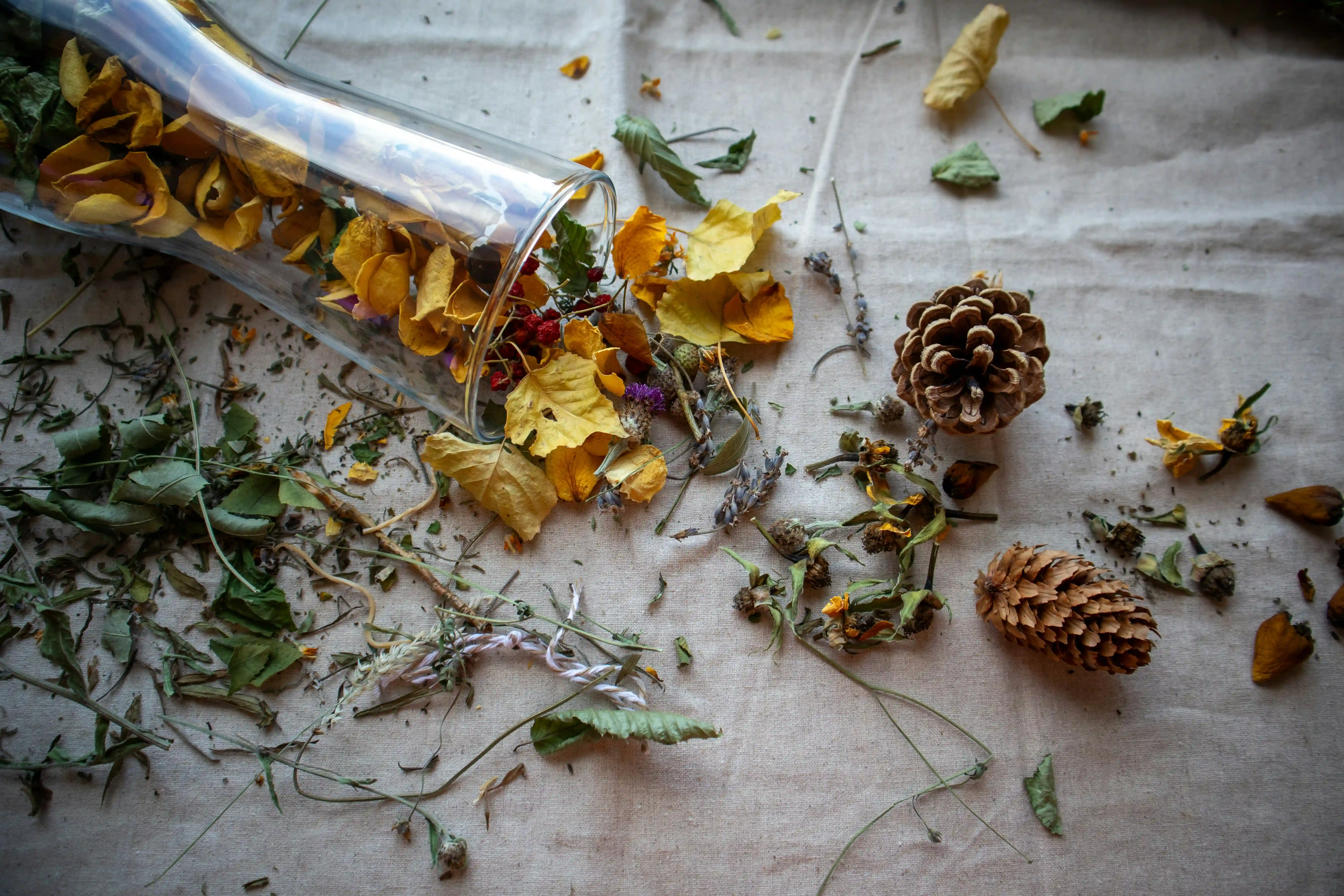 Hands preparing dried herbs for blending on a wooden surface with measuring tools